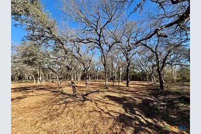 157 Cedar Mountain Road, Gatesville, TX 76528 - Photo 8