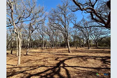 157 Cedar Mountain Road, Gatesville, TX 76528 - Photo 6