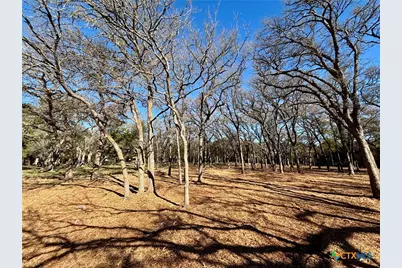 157 Cedar Mountain Road, Gatesville, TX 76528 - Photo 10