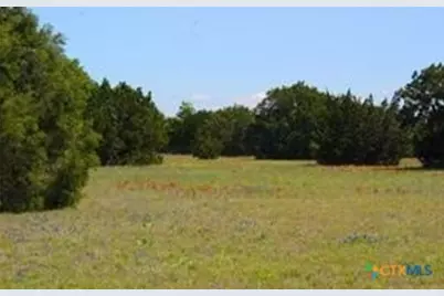 8590 Trimmier Road, Killeen, TX 76542 - Photo 4