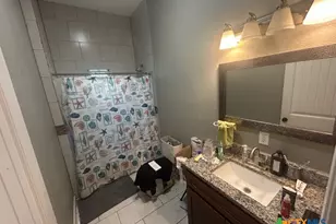 3907 Waterwood Pass Dr, Elmendorf, TX 78112 - Photo 14