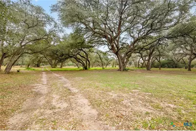 3793 Fm 446, Victoria, TX 77905 - Photo 16
