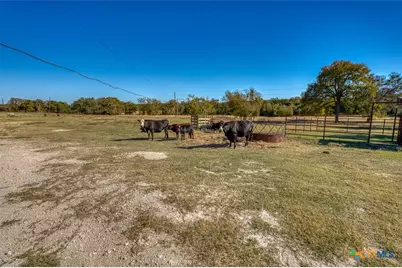 20949 Firefly Road, Florence, TX 76527 - Photo 6