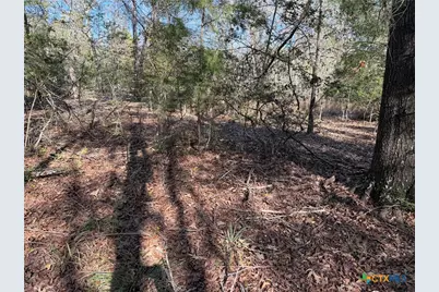 Tbd County Road 301 Tract 7, Fairfield, TX 75855 - Photo 10