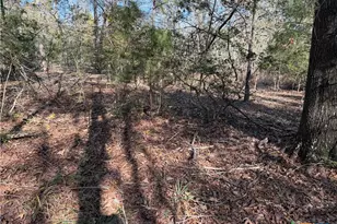 Tbd County Road 301 Tract 7, Fairfield, TX 75855 - Photo 10