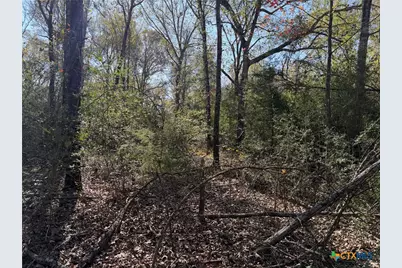 Tbd County Road 301 Tract 7, Fairfield, TX 75855 - Photo 2