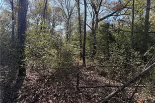 Tbd County Road 301 Tract 7, Fairfield, TX 75855 - Photo 2