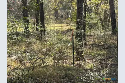 Tbd County Road 301 Tract 7, Fairfield, TX 75855 - Photo 6