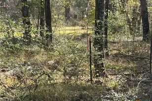 Tbd County Road 301 Tract 7, Fairfield, TX 75855 - Photo 6