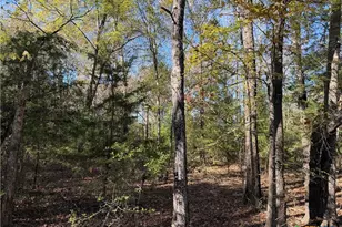 Tbd County Road 301 Tract 7, Fairfield, TX 75855 - Photo 4