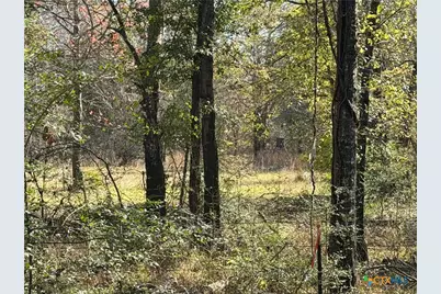 Tbd County Road 301 Tract 7, Fairfield, TX 75855 - Photo 8