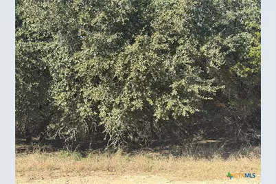 5982 Buggy Ride Road, Temple, TX 76502 - Photo 2