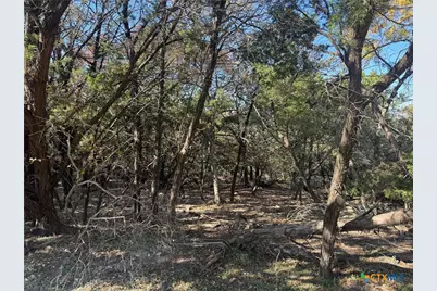 5982 Buggy Ride Road, Temple, TX 76502 - Photo 1