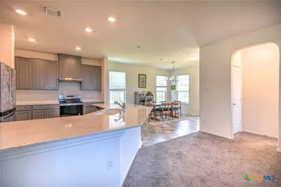 119 Lucky Texan Cove, Jarrell, TX 76537 - Photo 10