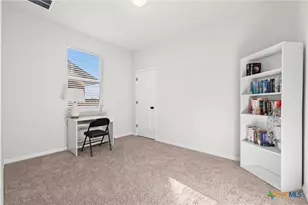 508 Possumhaw Ln, San Marcos, TX 78666 - Photo 18