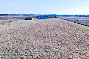 1165 Co Rd 238, Georgetown, TX 78633 - Photo 6