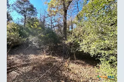 506 Tahitian Drive, Bastrop, TX 78602 - Photo 4