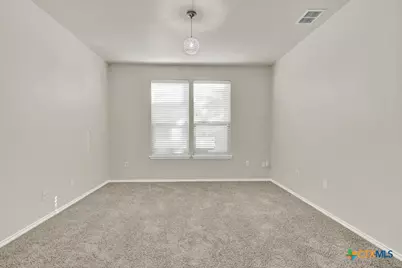 310 Sageleaf Willow Drive, San Marcos, TX 78666 - Photo 6