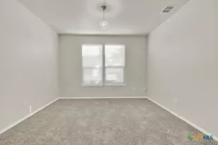 310 Sageleaf Willow Dr, San Marcos, TX 78666 - Photo 6