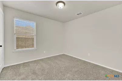 310 Sageleaf Willow Drive, San Marcos, TX 78666 - Photo 16