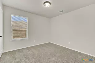 310 Sageleaf Willow Dr, San Marcos, TX 78666 - Photo 16