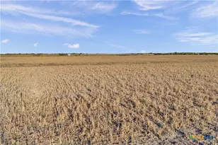 11064 Co Rd 210, Bertram, TX 78605 - Photo 36