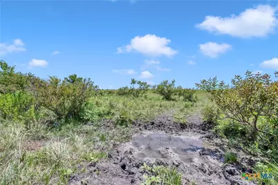 11064 County Road 210, Bertram, TX 78605 - Photo 22