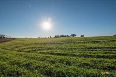 8498 Cr 121, San Saba, TX 76877 - Photo 10