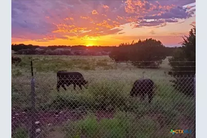 4501 Lauren Mackenzie Drive, Killeen, TX 76549 - Photo 28