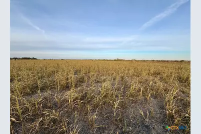 366 County Road 123, Buckholts, TX 76518 - Photo 2