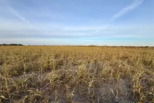 366 Co Rd 123, Buckholts, TX 76518 - Photo 2