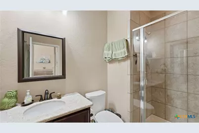 335 Snow Goose, New Braunfels, TX 78130 - Photo 6