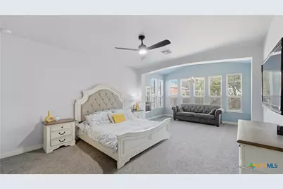 335 Snow Goose, New Braunfels, TX 78130 - Photo 20