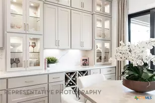 104 Big Muhly Pass, San Marcos, TX 78666 - Photo 18