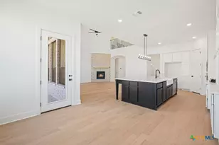 104 Big Muhly Pass, San Marcos, TX 78666 - Photo 20