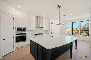 104 Big Muhly Pass, San Marcos, TX 78666 - Photo 6