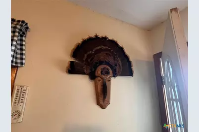 15 W Cr 426, Goldthwaite, TX 76844 - Photo 36