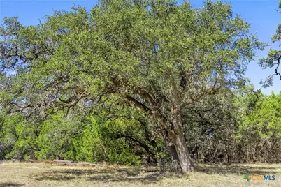 1151 Fawn Valley Drive, Canyon Lake, TX 78133 - Photo 28