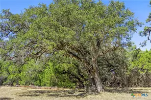 1151 Fawn Valley Dr, Canyon Lake, TX 78133 - Photo 28