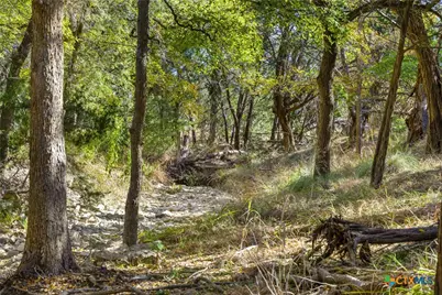 1151 Fawn Valley Drive, Canyon Lake, TX 78133 - Photo 4