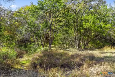1151 Fawn Valley Drive, Canyon Lake, TX 78133 - Photo 30