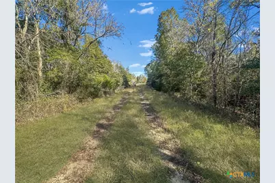 2845 Boehnke Road, Flatonia, TX 78949 - Photo 8