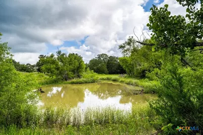 2845 Boehnke Road, Flatonia, TX 78949 - Photo 4