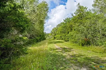 2845 Boehnke Road, Flatonia, TX 78949 - Photo 10