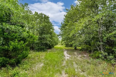 2845 Boehnke Road, Flatonia, TX 78949 - Photo 8