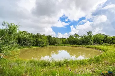 2845 Boehnke Road, Flatonia, TX 78949 - Photo 6