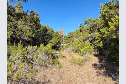 545-561 Lake Park Loop, Canyon Lake, TX 78133 - Photo 2