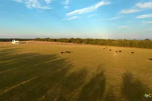 19045 F M 1123, Holland, TX 76534 - Photo 1