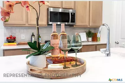 2249 Altiplano, San Antonio, TX 78245 - Photo 10