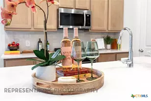 2249 Altiplano, San Antonio, TX 78245 - Photo 10